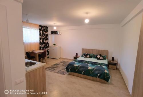 a bedroom with a bed and a kitchen with a sink at Studio Lorena in Mangalia