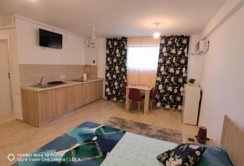 a room with a kitchen and a living room at Studio Lorena in Mangalia