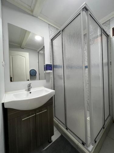 y baño con lavabo y ducha. en Residencial la Casa de Millan en Rancagua