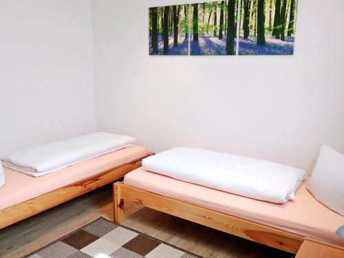 two beds in a room with a painting on the wall at Helena Ferienwohnung in Hemfurth-Edersee