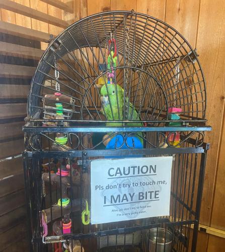 a bird in a cage with a sign on it at Village Inn Destin in Destin