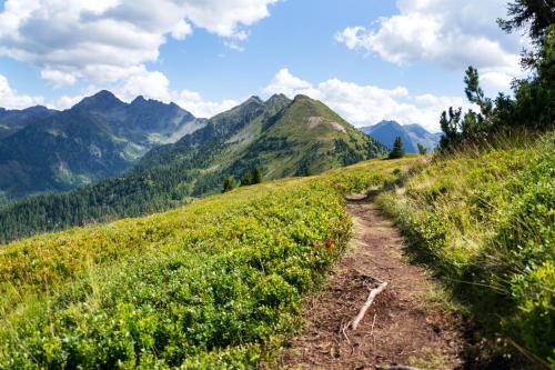a trail on a hill with mountains in the background at JOHANN Schladming in Schladming