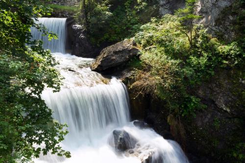 a waterfall in the middle of a forest at JOHANN Schladming in Schladming