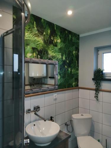 a bathroom with a toilet and a sink and a mirror at Domek na Leśnej in Pogorzelica