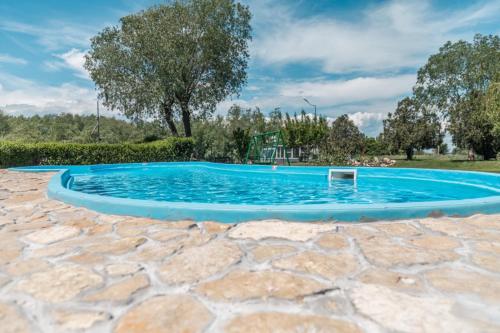 a swimming pool with a blue pool at Pensiunea Califar in Dunavăţu de Jos