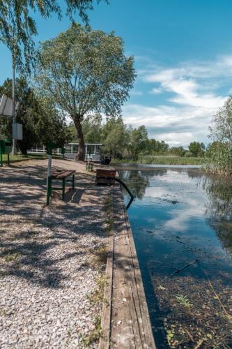a park bench next to a river with a tree at Pensiunea Califar in Dunavăţu de Jos