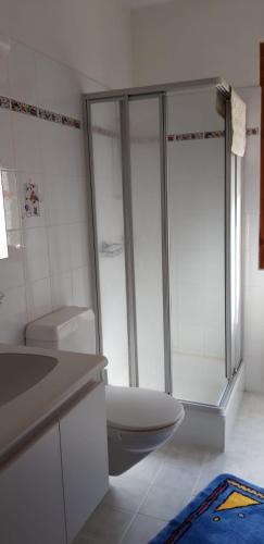 a white bathroom with a shower and a toilet at Casa Betulla in Sonogno