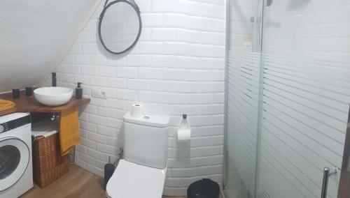 a bathroom with a toilet and a sink and a mirror at EL PISITO DEL TABLERO in Erjos
