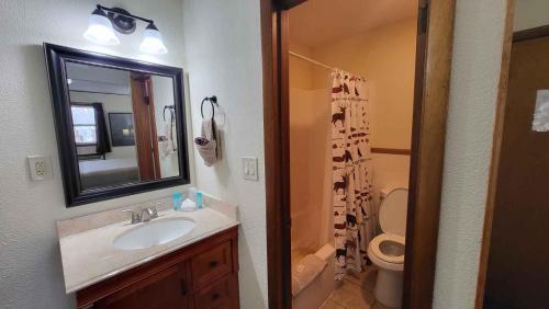 a bathroom with a sink and a toilet and a mirror at Hunter's Friend Resort on Indian Point in Branson