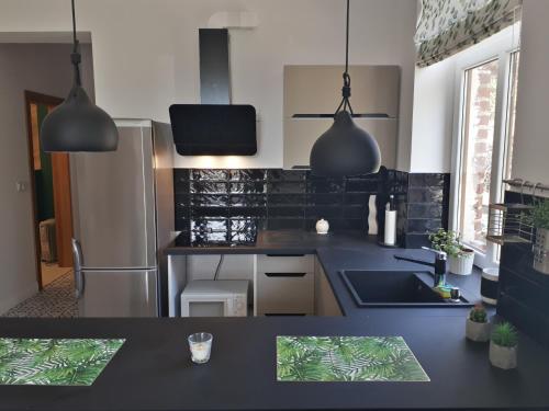 a kitchen with a black counter top and a refrigerator at agroturystyka Drużno in Elblag