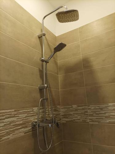 a shower with a shower head in a bathroom at Αlexandros apartment in Votsi