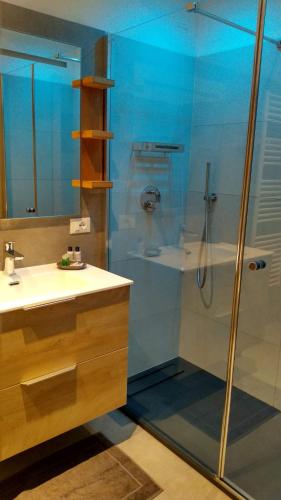 a bathroom with a shower and a sink at Casa vacanze Heidi e Peter Val di Rabbi in Rabbi