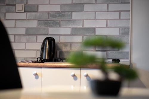 a kitchen with a sink and a tile wall at Apartmani "Mary" in Grebaštica
