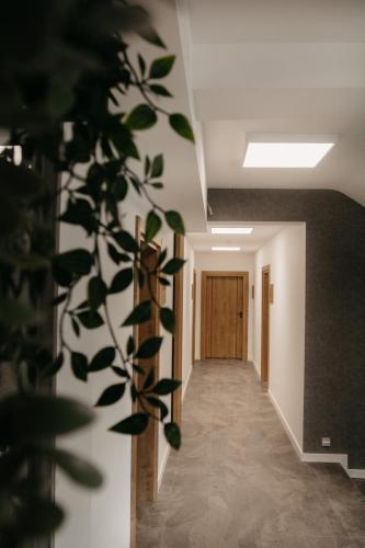 a hallway with a plant in front of a door at Rajskie Uroczysko Apartamenty Jacuzzi Sauna in Rajskie Sakowczyk