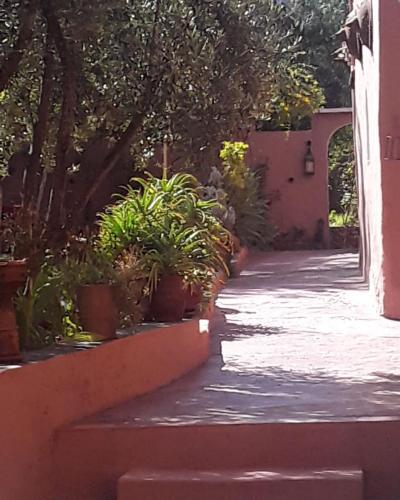 a sidewalk with potted plants next to a building at Auberge Le Mouflon in Ouirgane