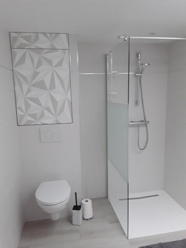a bathroom with a toilet and a glass shower at L'Instant Présent, en Vendée, gite neuf , 3 etoiles, 15 minutes de l'océan in Saint-Julien-des-Landes
