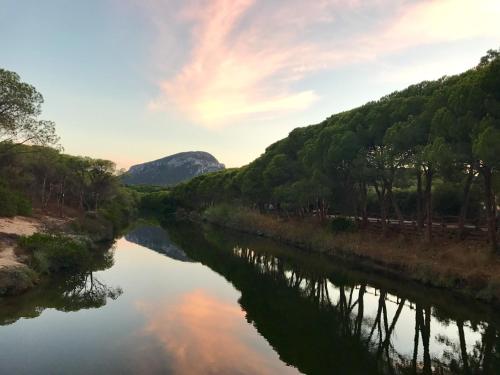 a river with trees and a sunset in the background at Kelu e Terra - Locazione Turistica - IUN Q0467 in Onifai