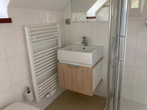 伊澤拉山阿爾布雷赫捷采城的住宿－Stodola，一间带水槽和淋浴的小浴室