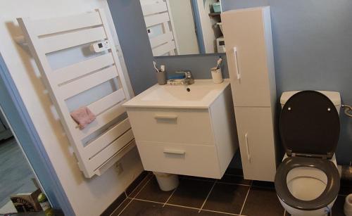 La salle de bains est pourvue de toilettes, d'un lavabo et d'un miroir. dans l'établissement Maison Pleubian mer à pied, à Pleubian