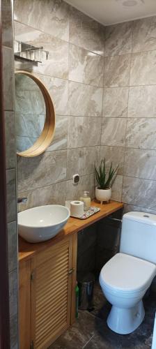 a bathroom with a white toilet and a sink at Domek Zielenina in Mierzeszyn