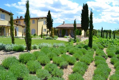 a garden in front of a house with trees and bushes at Rinidia Bio in Sovicille