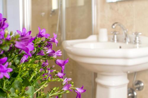 Un baño de Rinidia Bio