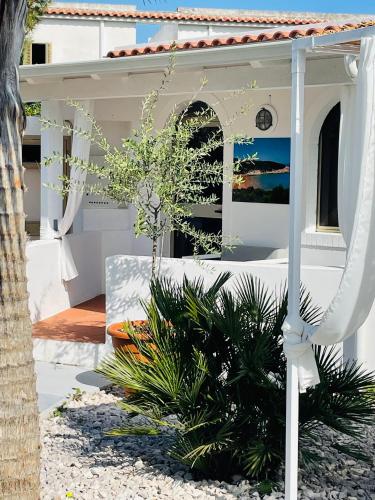 a white house with a table and some plants at B&B Villa D'Amato in Peschici