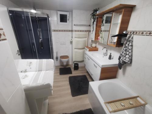 a bathroom with a sink and a shower and a toilet at Ferienwohnung Rotheneder- Rupp in Niederndorf