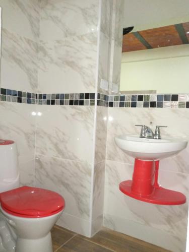 a bathroom with a red toilet and a sink at hermoso apartamento en guaduas (apto 202) in Guaduas