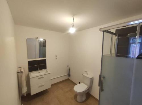 La salle de bains est pourvue de toilettes, d'un lavabo et d'un miroir. dans l'établissement L'Ecrin d'Emile - Grand Studio Meublé au Calme, à Courpière