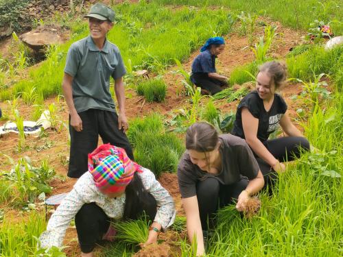 Επισκέπτες που μένουν στο Indigenous homestay- Trek- Food- Bus