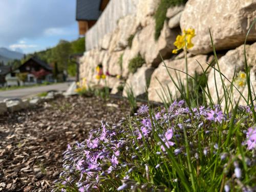 a bunch of purple flowers next to a stone wall at Ferienwohnungen Kalss nahe Altaussee in Bad Aussee
