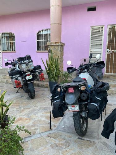 two motorcycles parked in front of a pink building at Sofia Hostel Cabo in Cabo San Lucas