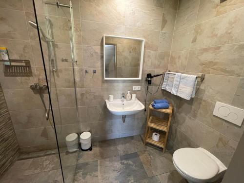 a bathroom with a shower and a sink and a toilet at B&B Simmer in Obertraun