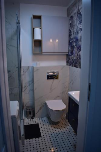 uma casa de banho com um WC, um lavatório e um chuveiro em Nice Place em Gdansk