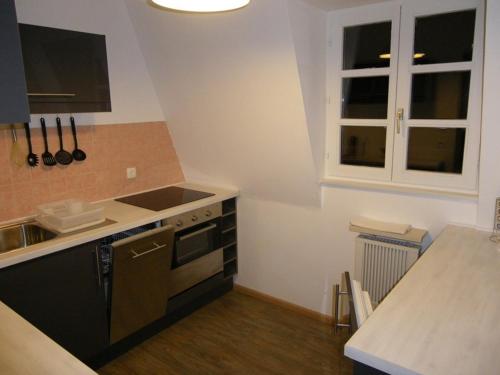 une cuisine avec un évier et une cuisinière four supérieur dans l'établissement Narcisse, à Colmar