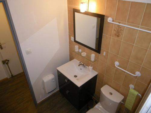 une salle de bain avec toilettes, lavabo et miroir dans l'établissement Narcisse, à Colmar