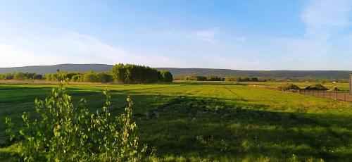 a large green field with mountains in the background at Witówka Bieliny in Bieliny