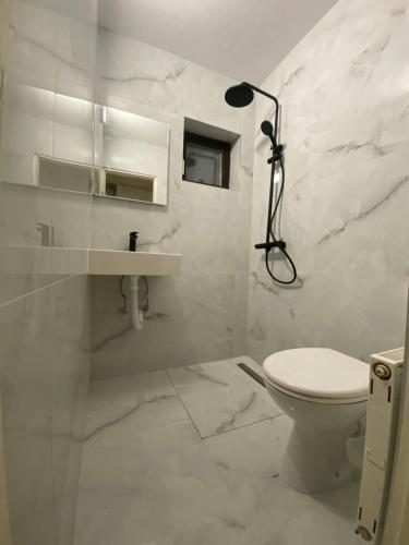 a white bathroom with a toilet and a shower at Guest House Aurora in Poljanak