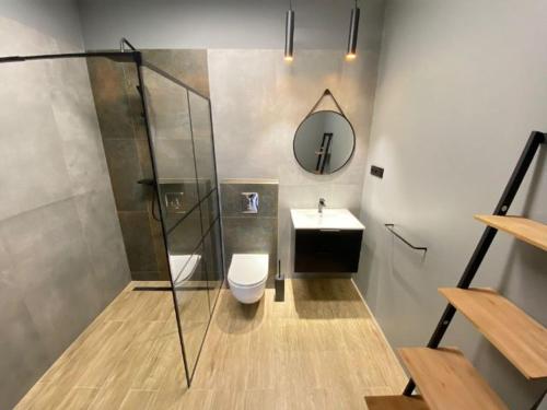 a bathroom with a shower and a toilet and a sink at Apartament pod Świątynią Wang in Karpacz