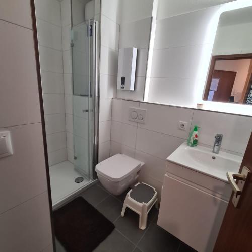 a bathroom with a toilet and a shower and a sink at Apartment am Hafen in Travemünde