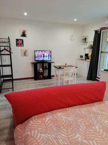 sala de estar con sofá rojo y mesa en Charmant logis au coeur de Mirepoix, en Mirepoix