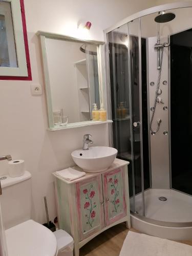 a bathroom with a sink and a shower at Charmant logis au coeur de Mirepoix in Mirepoix