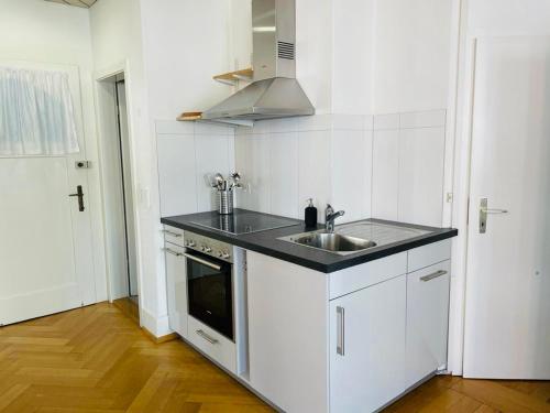 een witte keuken met een wastafel en een fornuis bij Apartment Marktplatz 2 in Bazel