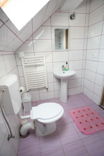 a bathroom with a toilet and a sink at Pensiunea Poarta Apusenilor in Moldoveneşti
