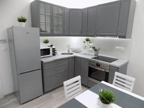 Kuchyň nebo kuchyňský kout v ubytování A10 Alkotmány B Apartment