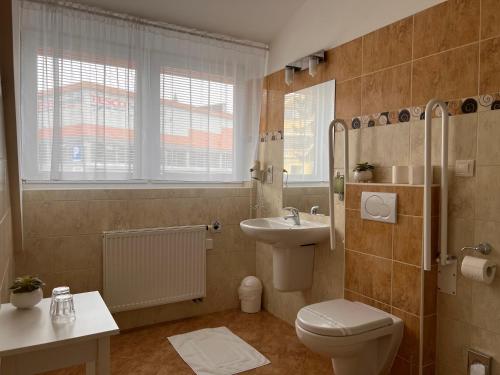 La salle de bains est pourvue de toilettes et d'un lavabo. dans l'établissement Tišnovská Rychta, à Tišnov