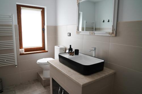 a bathroom with a sink and a toilet at Pensiunea Danubio in Dunavăţu de Jos