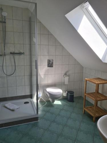 uma casa de banho com um chuveiro e um WC num sótão em "Spreehof" Apartmenthaus in Lehde em Lübbenau