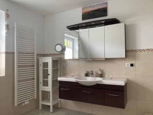 a bathroom with a sink and a mirror at Traumfänger Urlaub direkt am Meer in Pellworm